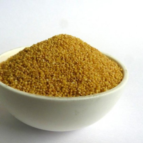 Foxtail Millet Thinai Kangni